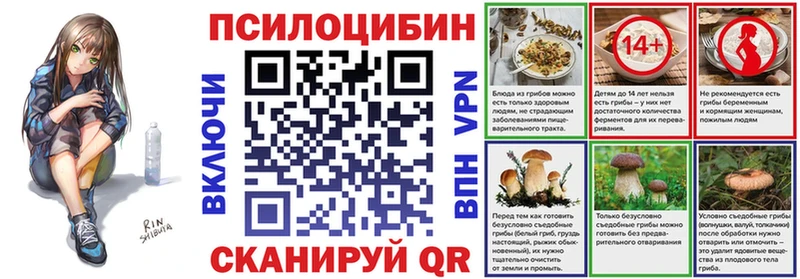 Галлюциногенные грибы Psilocybe  как найти закладки  Нефтеюганск 