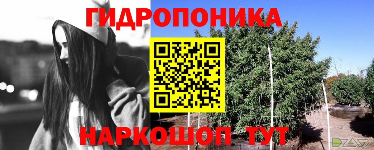 Каннабис индика Нефтеюганск